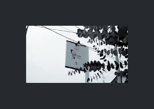 2006 FLORIST DOUX TEMPS 01