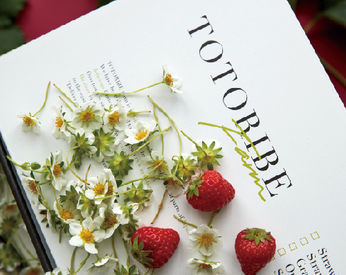 2019 ととりべファーム 06