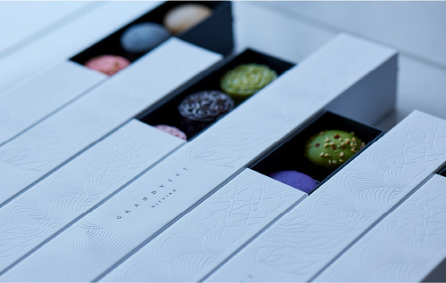 img_hotelgrandvertgizan01